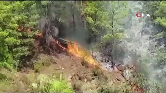 Geniş alana yayıldı! Alanya’da korkulu dakikalar
