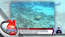 Halos pagkawala ng mga bahura sa Iroquois Reef na ginagamit daw pandekorasyon o alahas, kagagawan ng China, ayon sa isang maritime expert | 24 Oras Weekend