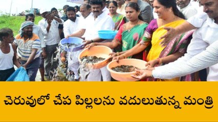 మెదక్: చేప పిల్లలను కాపాడుకోవాల్సిన బాధ్యత మత్స్యకారులదే..!