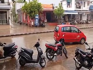बरसात से खेत में कटकर पड़ी फसलें गलने लगी-video