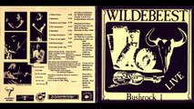 Wildebeest – Bushrock 1 : Rock, Folk, World, & Country, Psychedelic Rock, Celtic, Folk Rock, 1981
