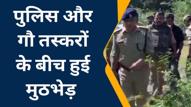 फतेहपर: पुलिस व गौ तस्करों के बीच मुठभेड़, एक तस्कर के पैर में लगी गोली