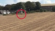 Suspected ‘big cat’ filmed walking through field in Norwich, documentary team claims