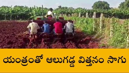 జహీరాబాద్: విత్తనం సాగు.. బహు బాగు