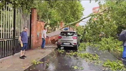 Tormenta Aranda: Impactos y Pronóstico