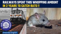 Railways spent ₹69 lakh to ‘catch rat’ in Lucknow, reveals RTI | Oneindia News