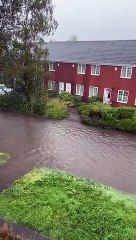 Champford Lane, Wellington, filmed by Amanda Staple.