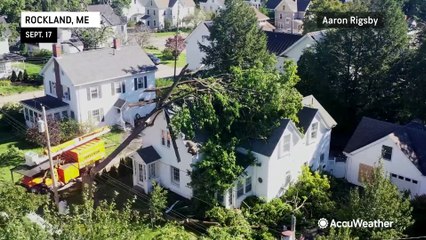 Large tree toppled onto house in Lee aftermath