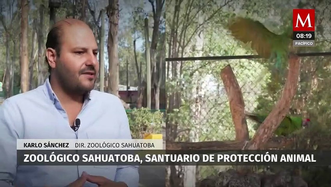 En Durango, el Zoológico Sahuatoba busca preven...