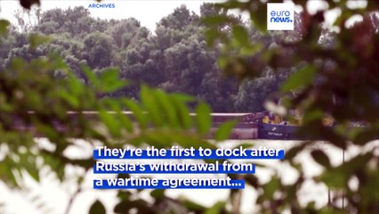 First cargo ships dock in Ukraine after Russia exits grain deal