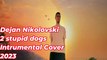 Dejan Nikolovski - 2 stupid dogs Instrumental Cover (2023)