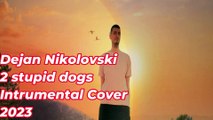 Dejan Nikolovski - 2 stupid dogs Instrumental Cover (2023)