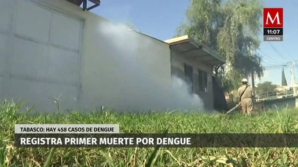 Tabasco reporta primera muerte por dengue; van 458 casos