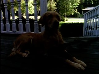 Goosebumps S02E06 Go Eat Worms