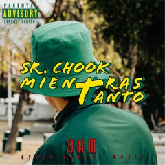 Sr. Chook - Mientras Tanto (Official Visualizer)