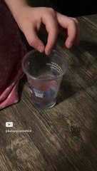 Bailey’s Babysitters