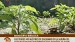 Apure | Liceo Bolivariano Socioproductivo Amantina de Sucre promueve cultivo de alevines de cachamas