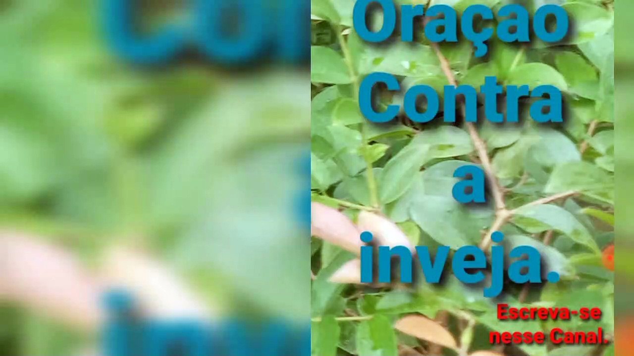 Oração Contra a inveja. Bênçãos de Deus.