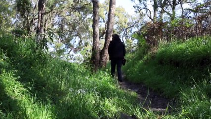 WA's Noongar people hope Voice encourages truth-telling