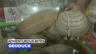 Adventurous Bites: Would you eat a clam that looks like this?