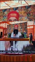 Dera Sacha Sauda Program in Mansrover Jaipur