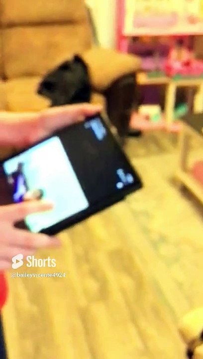 Bailey’s Babysitters