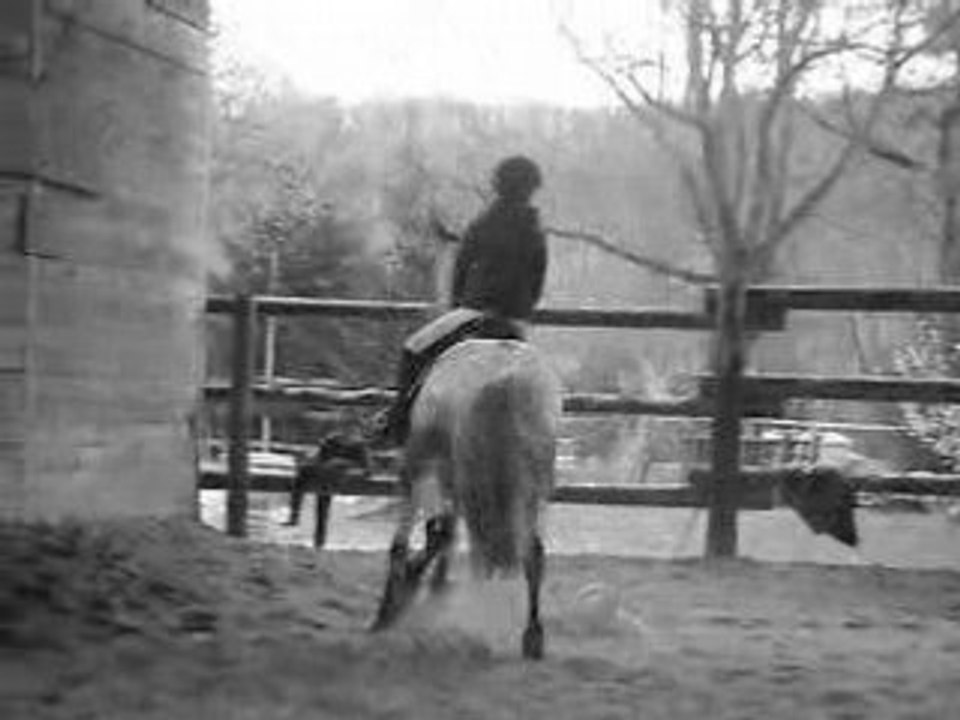 Galop 1