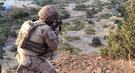 Kırmızı ve gri kategoride aranan iki terörist etkisiz hale getirildi