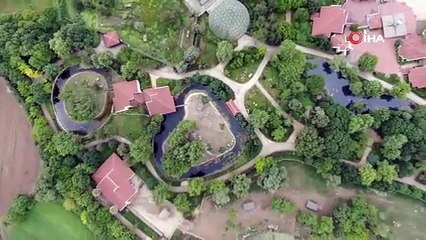 Bursa Hayvanat Bahçesi’nin zebra ailesine 3 yeni üye