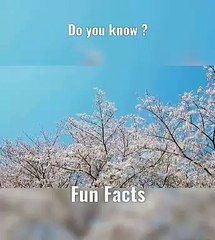 Meditation Change Brain