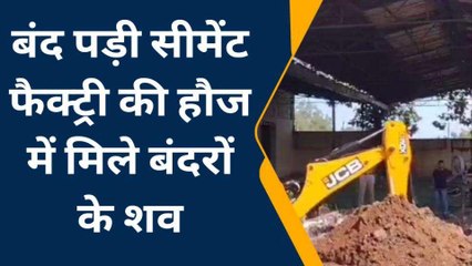 मेरठ: कई सालों से बंद सीमेंट फैक्ट्री में मिलीं दो दर्जन लाश, अधिकारियों में मचा हड़कंप
