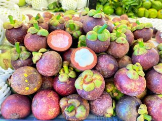 Lâm Đồng: Đặc sản Măng cụt Bảo Lộc được cấp nhãn hiệu độc quyền