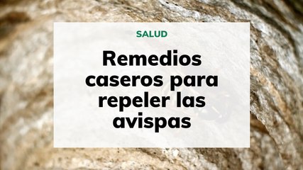Remedios caseros para repeler las avispas