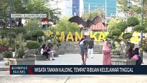 Wisata Taman Kalong, Tempat Ribuan Kalelawar Tinggal