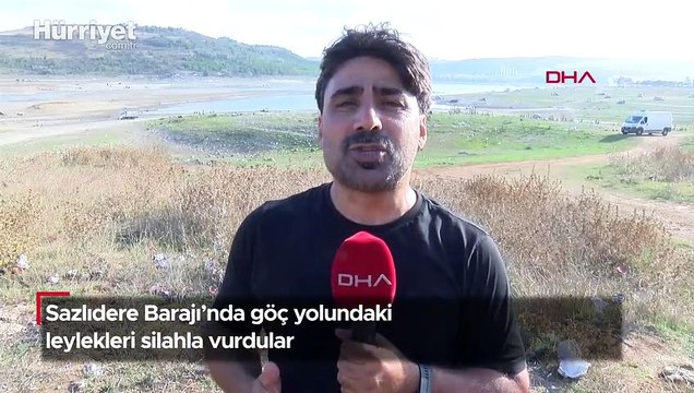 Arnavutköy'de dehşete düşüren görüntü! Uzun namlulu silahlarla leylekleri vurdular