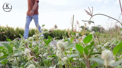 TATU - DIDI KEMPOT COVER AKUSTIK CONGA BY RIO SAPUTRA