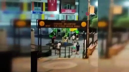 İstanbul'da sokak köpekleri sürüsü vatandaşların kabusu oldu