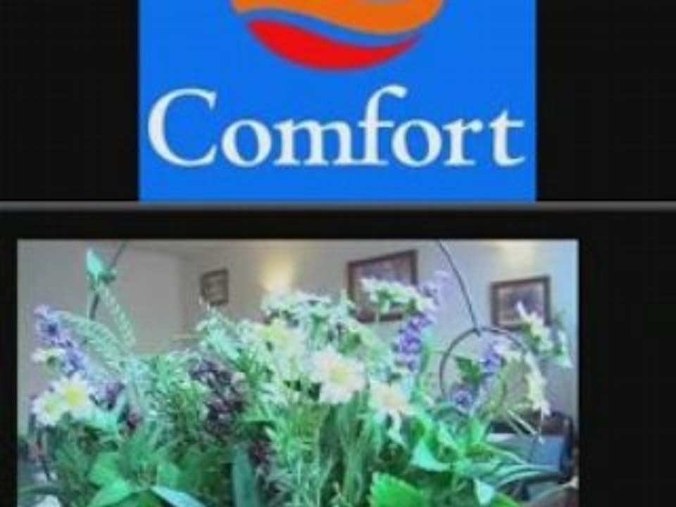 COMFORT BEZONS LA DEFENSE