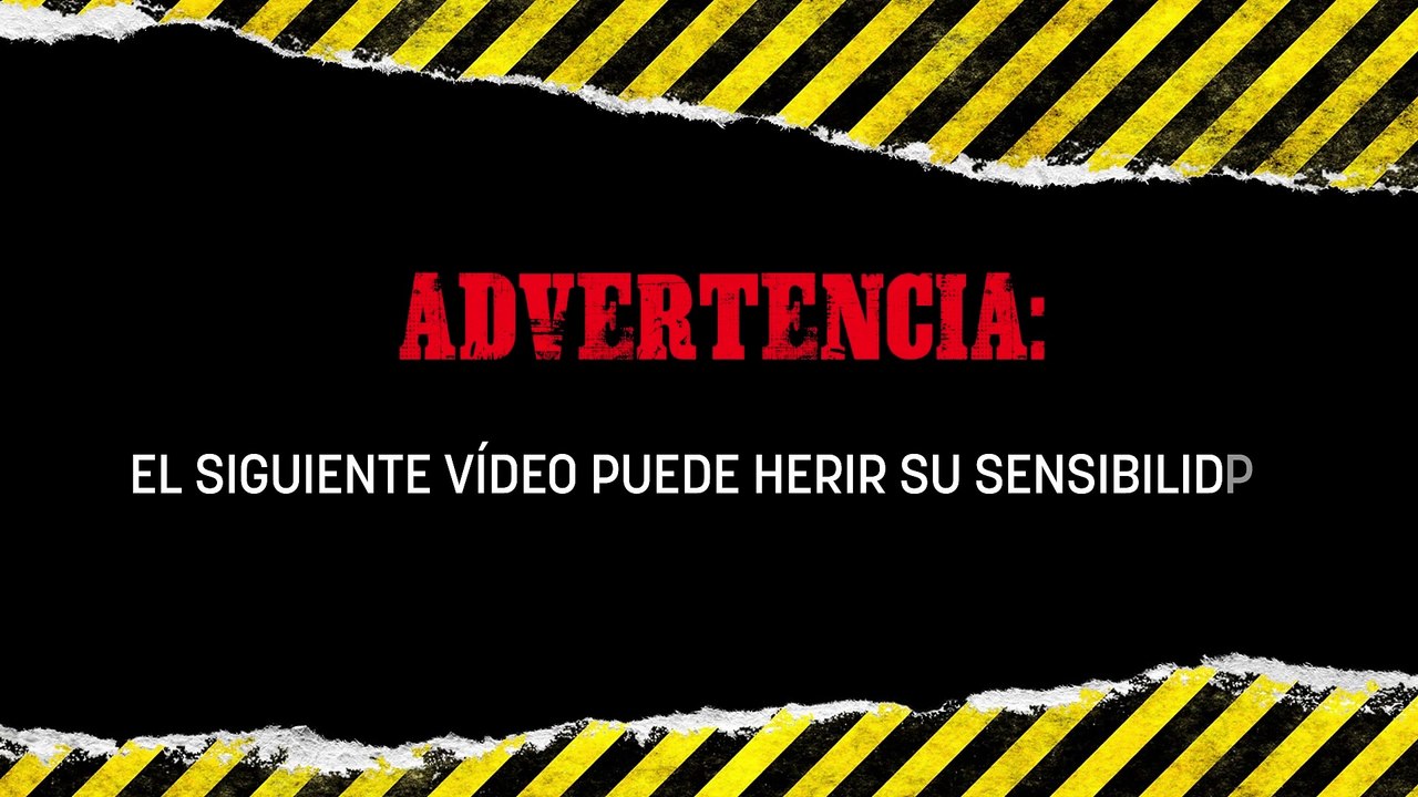 Terrible dos jóvenes roban un coche y matan a...