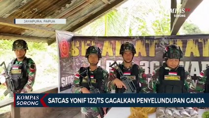 Patroli di Jalur Tikus, Anggota TNI Tangkap Penyelundupan Ganja dari PNG ke Indonesia
