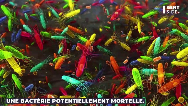 Elle mange du poisson mal cuit et se fait amputer les jambes et les bras