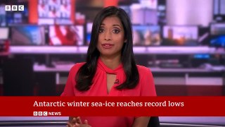 Antarctic winter sea-ice reaches record lows - BBC News