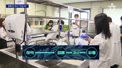 경매 전 조사 “이상 무”에도…“혹시라도 검출되면”