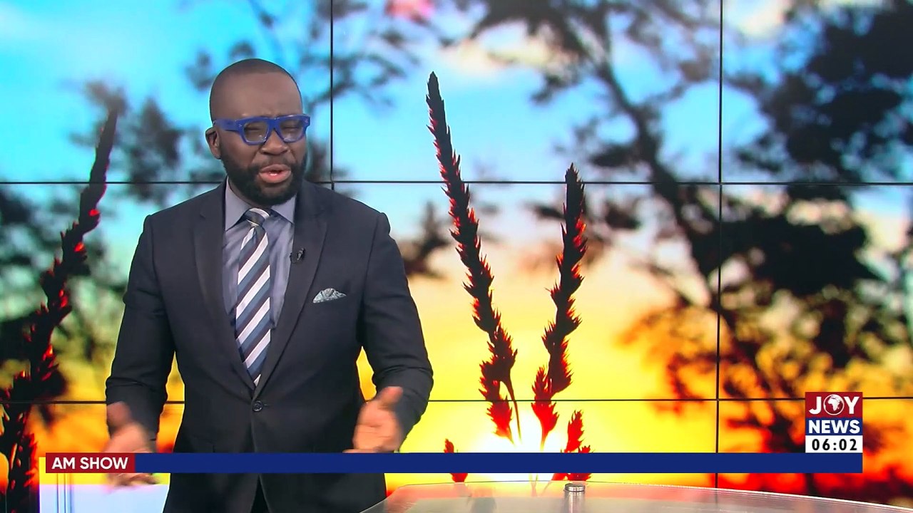 Coups In Africa: It will be unwise for any country to say it will never happen | AM Show