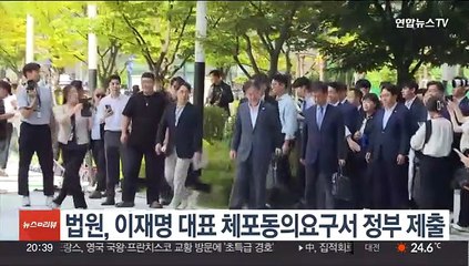 법원, 이재명 대표 체포동의요구서 정부 제출