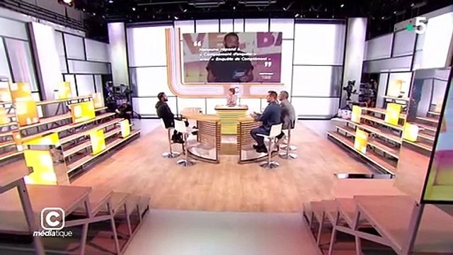 Ils n'ont vérifié aucune info : Cyril Hanouna dézingue le numéro de Complément d'enquête sur le Puy du Fou