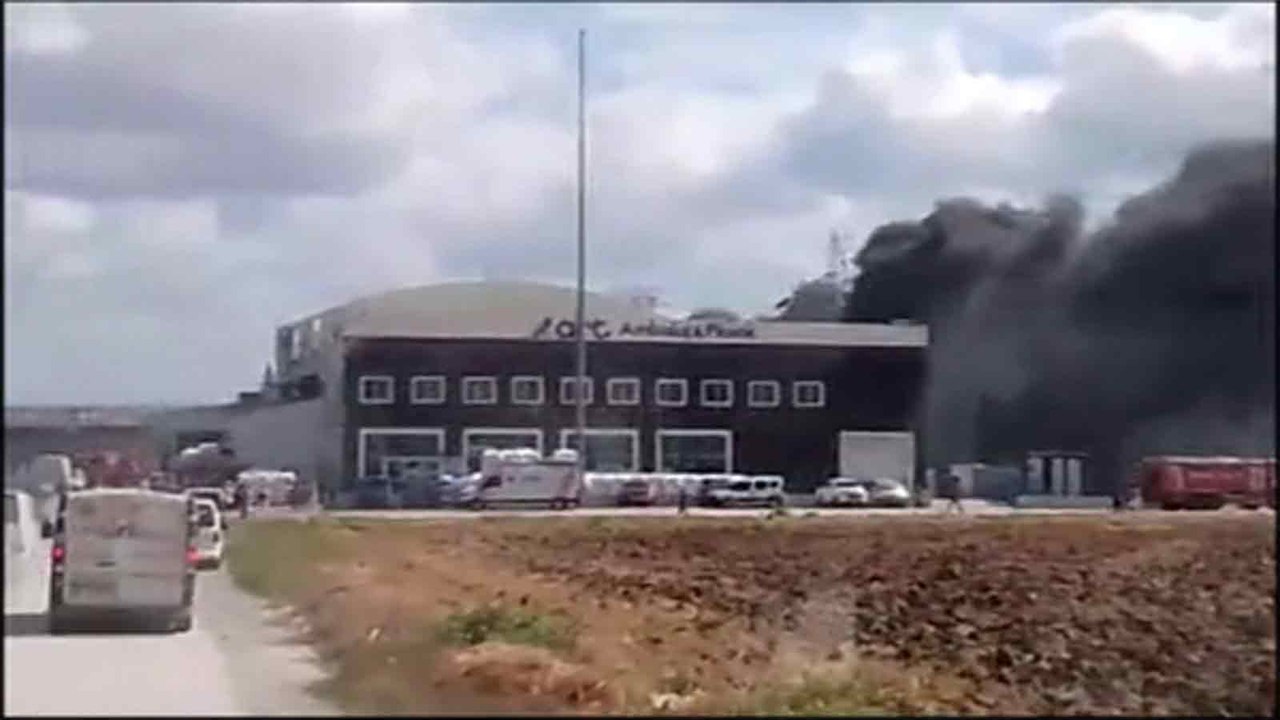 Yol kenarındaki otlarda başlayan yangın fabrikaya sıçradı, itfaiye ekiplerinin müdahalesi sürüyor