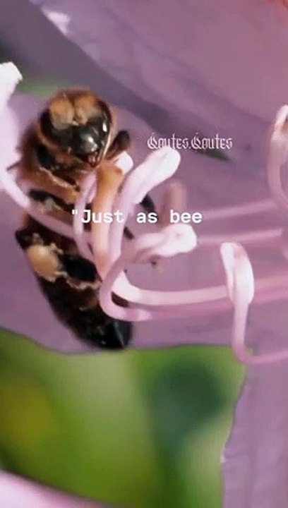 just as bees