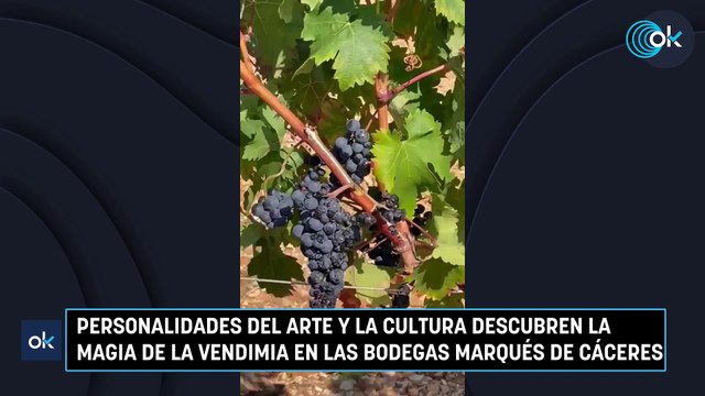 Personalidades del arte y la cultura descubren la magia de la vendimia en las bodegas Marqués de Cáceres