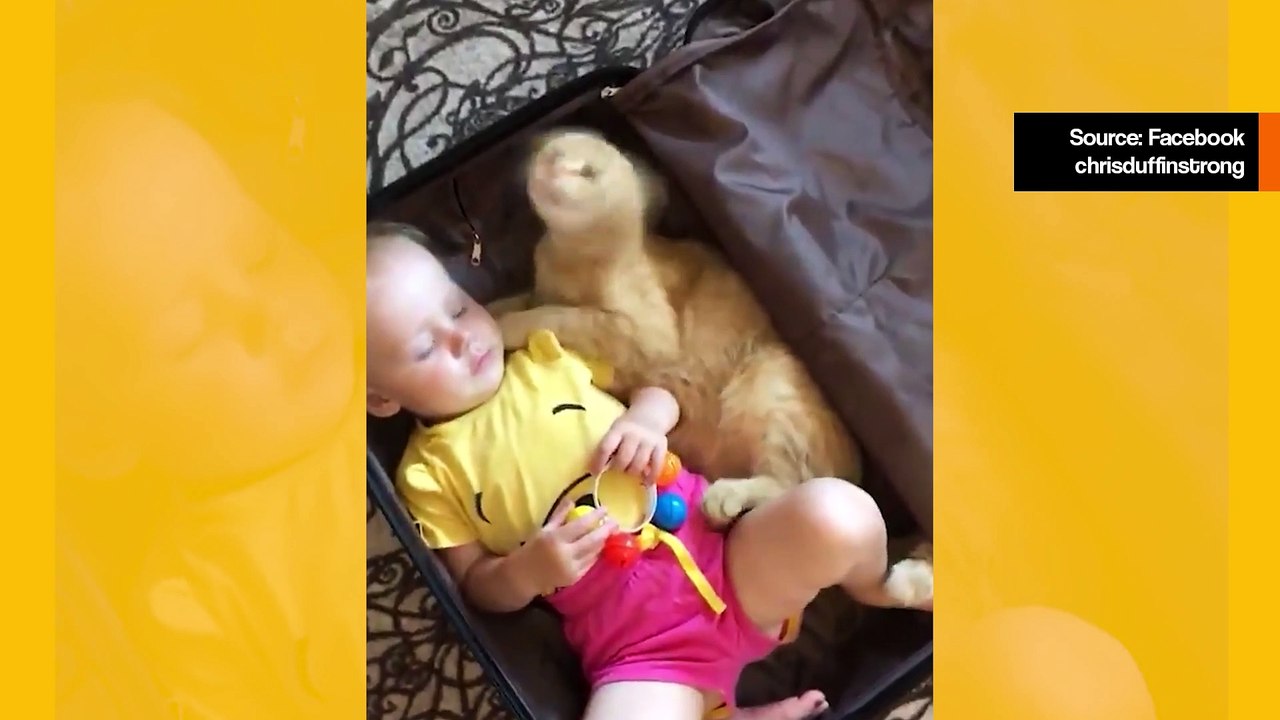 Dieses Video von Haustieren und Kindern ist das Süßeste, das Sie diese Woche sehen werden